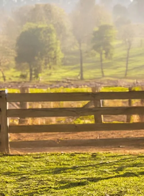 Paisagem do campo com cerca e pastagem